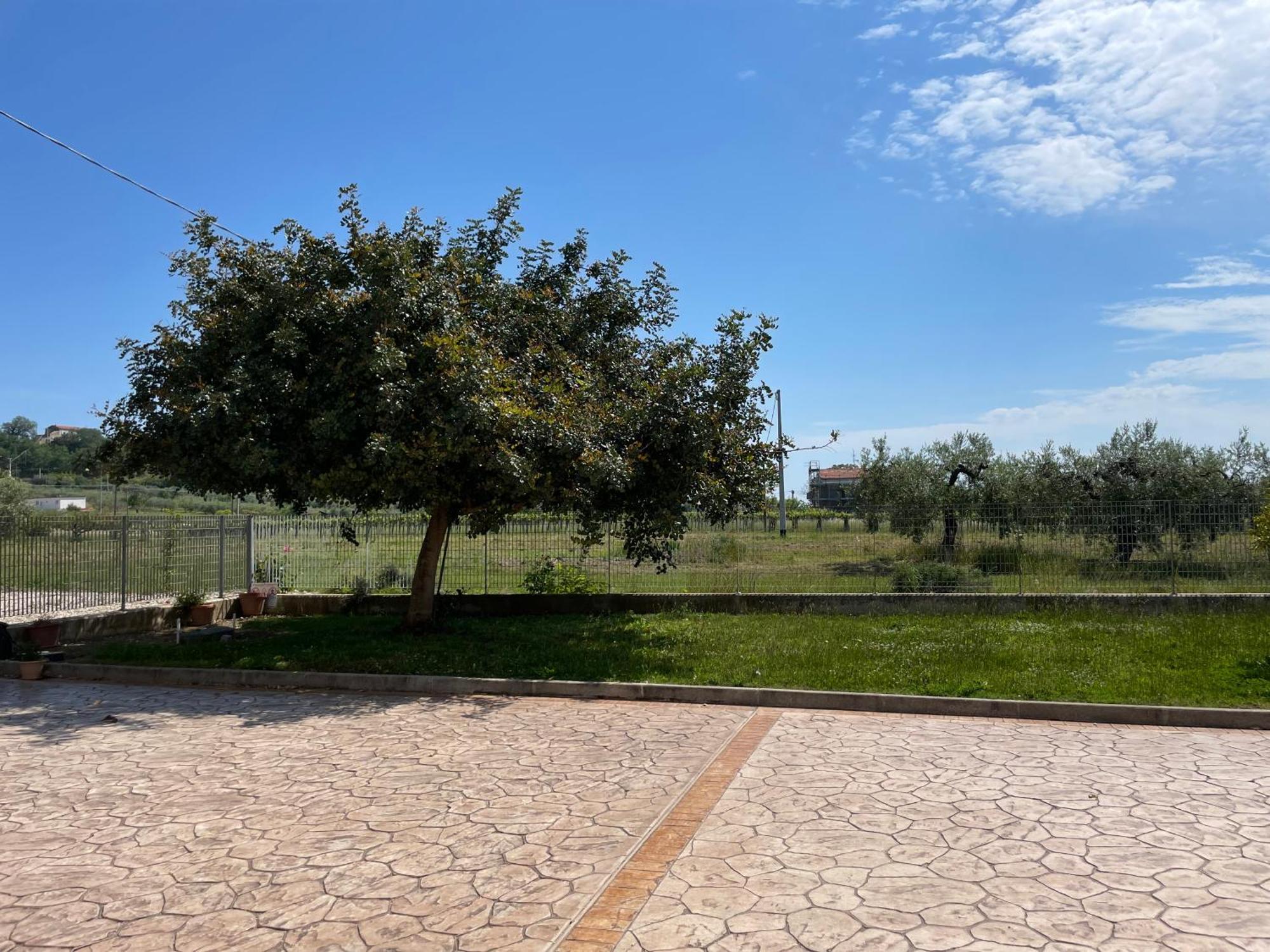 הוילה טורינו די סנגרו La Casa Di Michela מראה חיצוני תמונה